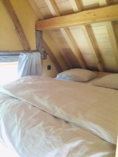 Boerderaaj Vakantiewoning بلزن المظهر الخارجي الصورة