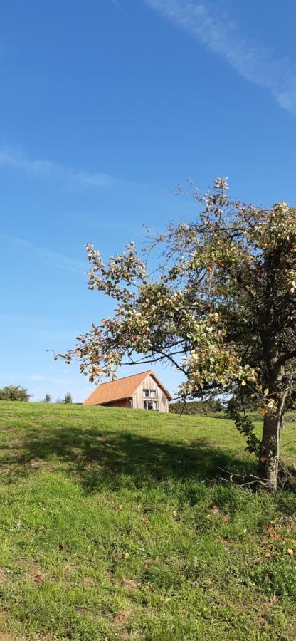 Boerderaaj Vakantiewoning بلزن المظهر الخارجي الصورة